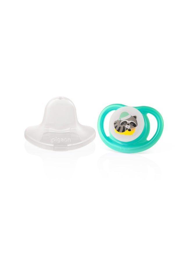 Pigeon Mini Light Dino & Raccoon Pacifiers Set L