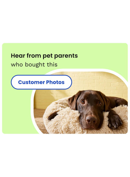 Drymate Cat Litter Mat 20 X 28 Inch