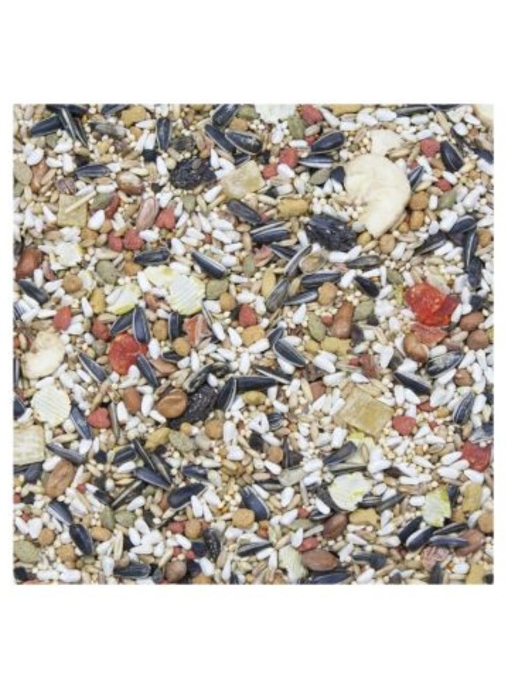 HigginS Vita Seed Conure & Lovebird Food 1.13 Kg