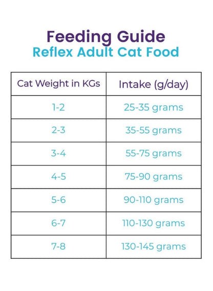 Gourmet Chicken and Rice Cat Food 2 Kg - REFLEX
