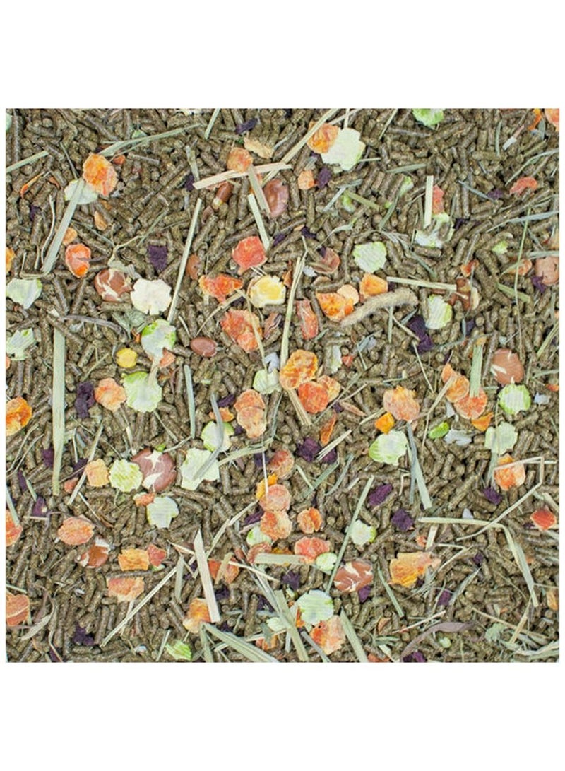 HigginS Vita Garden Junior Rabbit Food, 4-lb