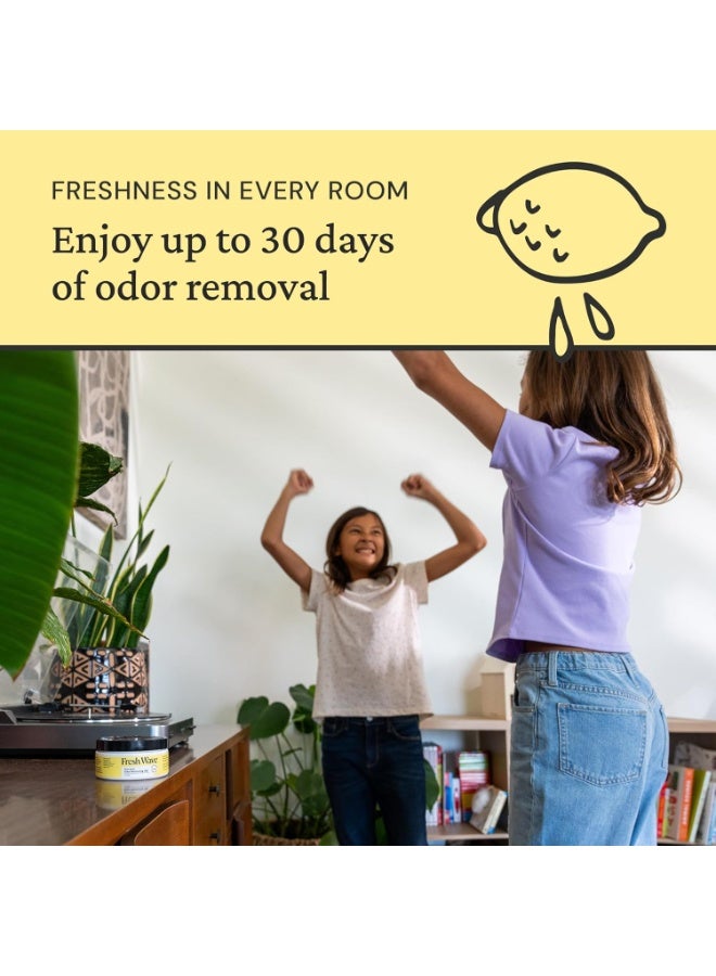 Fresh Wave Lemon Odor Eliminating Gel 198G