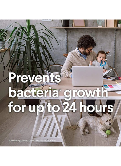 Clorox Disinfecting Wipes Fresh Scent