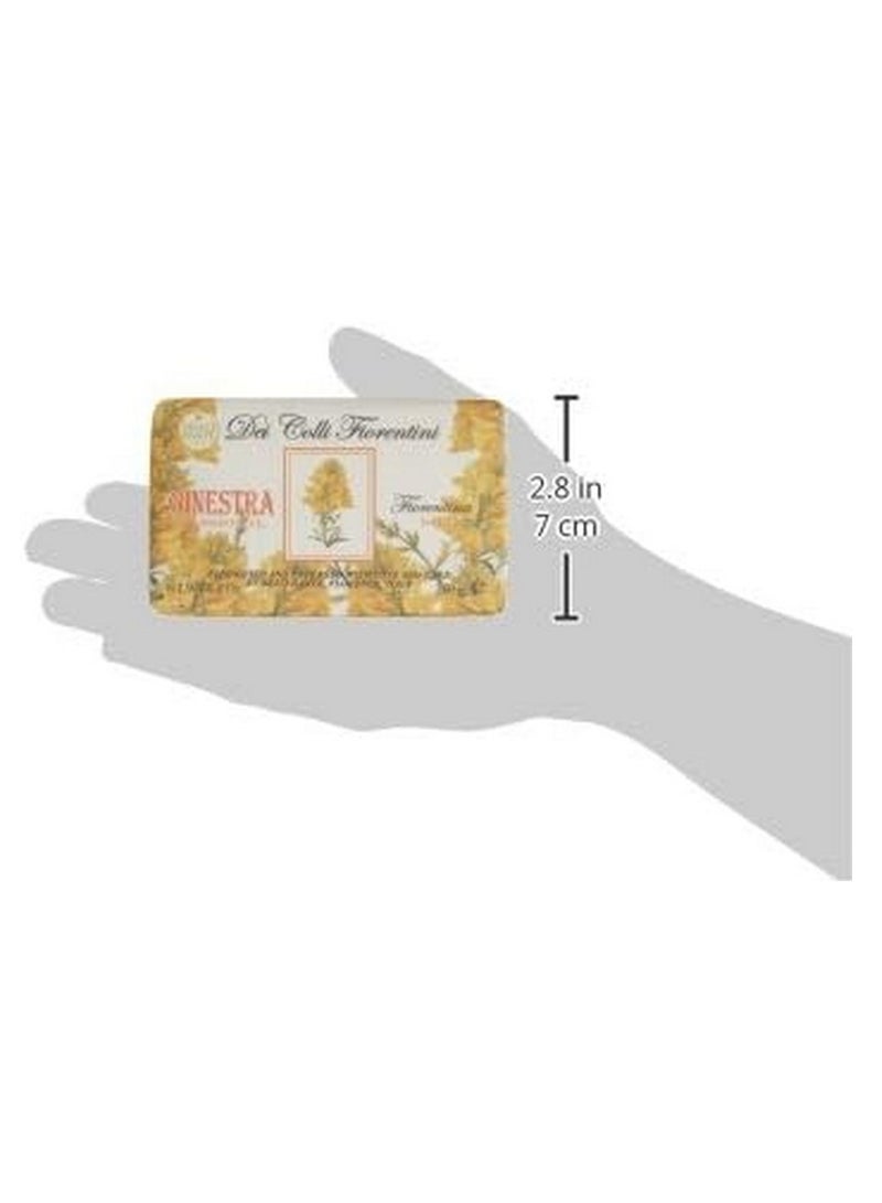 Nesti Dante Broom Triple Milled Soap 250g