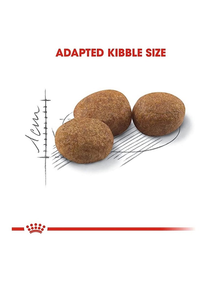 ROYAL CANIN Feline Health Nutrition Kitten Sterilised 2Kg