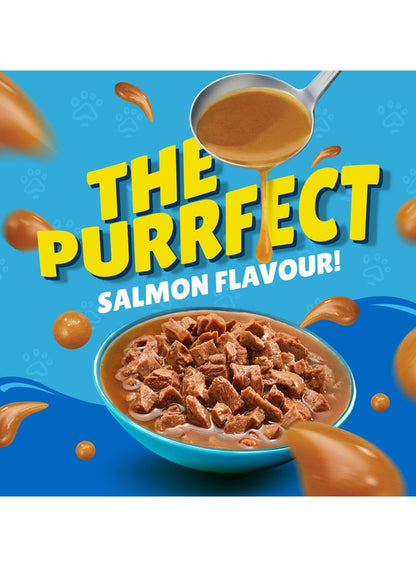 Friskies Salmon In Gravy Wet Cat Food 85G by PURINA