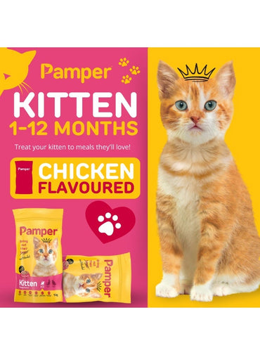 Pamper Kitten Dry Food 1Kg