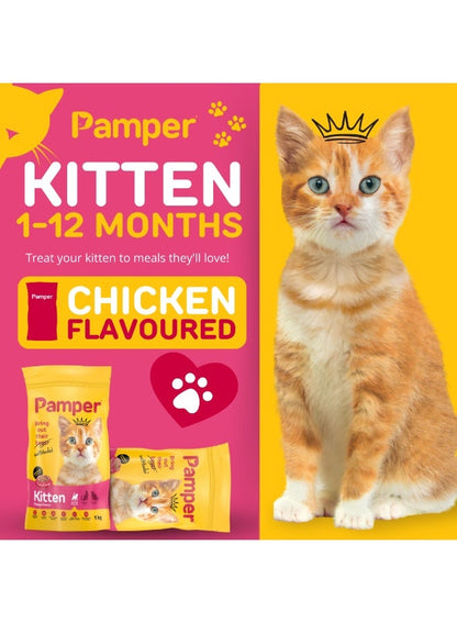 Pamper Kitten Dry Food 1Kg - Premium Pet Nutrition