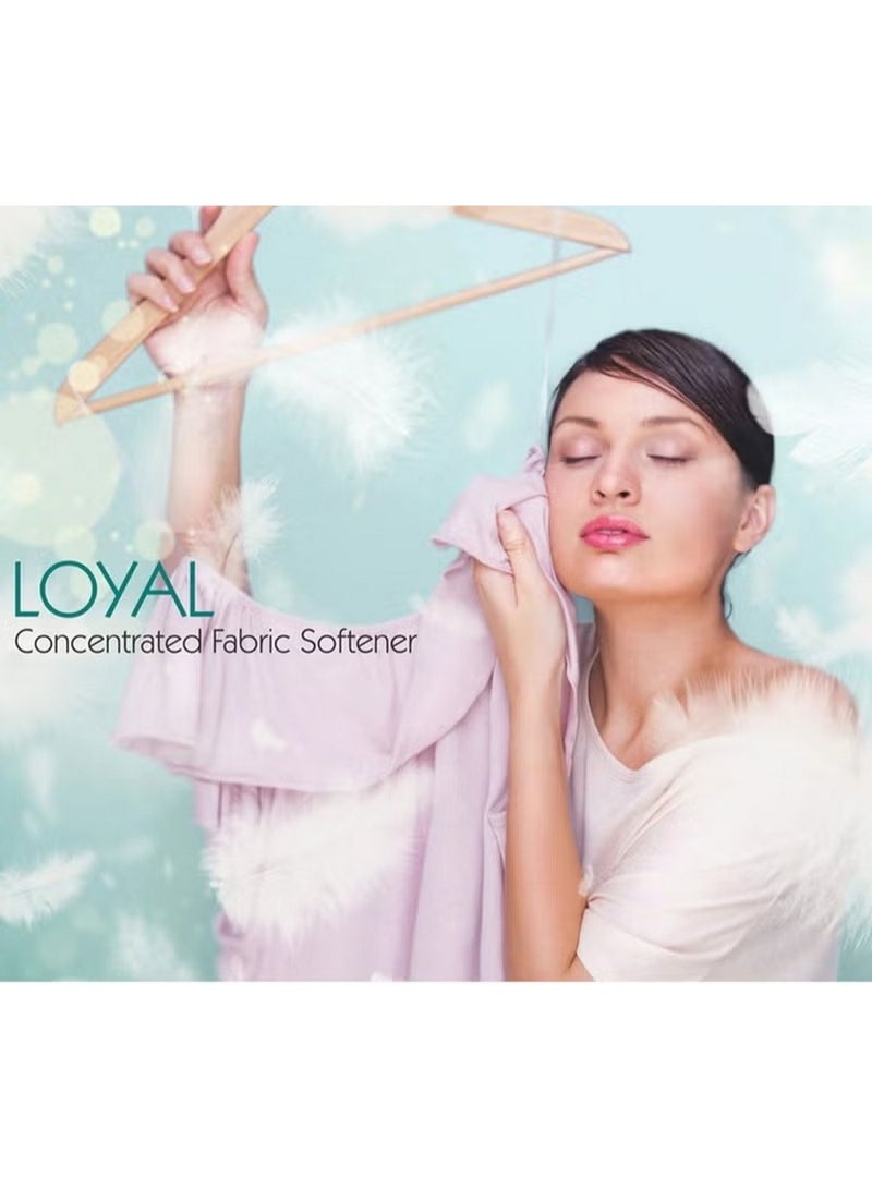 Loyal Fabric Softener Freshener Purple Passion 3 L