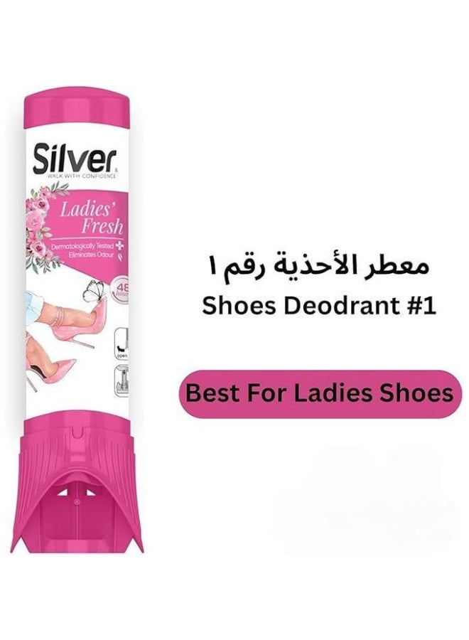 air dry, bad odors, day dual, dermatologically tested, dual spray, fresh shoe, fresh shoe freshener, ladies fresh, ladies fresh shoe, shoe freshener, shoe odor, shoe odors, shoe types, silver, skin safe