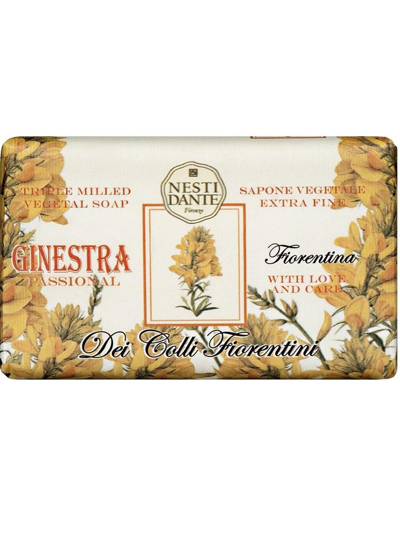 Nesti Dante Broom Triple Milled Soap 250g