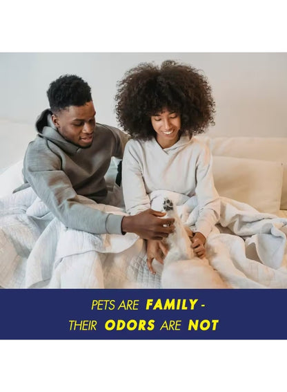 arm & hammer, carpet odor, carpet odor eliminator, cats fresh, cats fresh scent, deep cleaning, fresh carpet, fresh carpet odor, fresh scent, let dry, let sit, odor eliminator, pet fresh, pet fresh carpet, pet hair