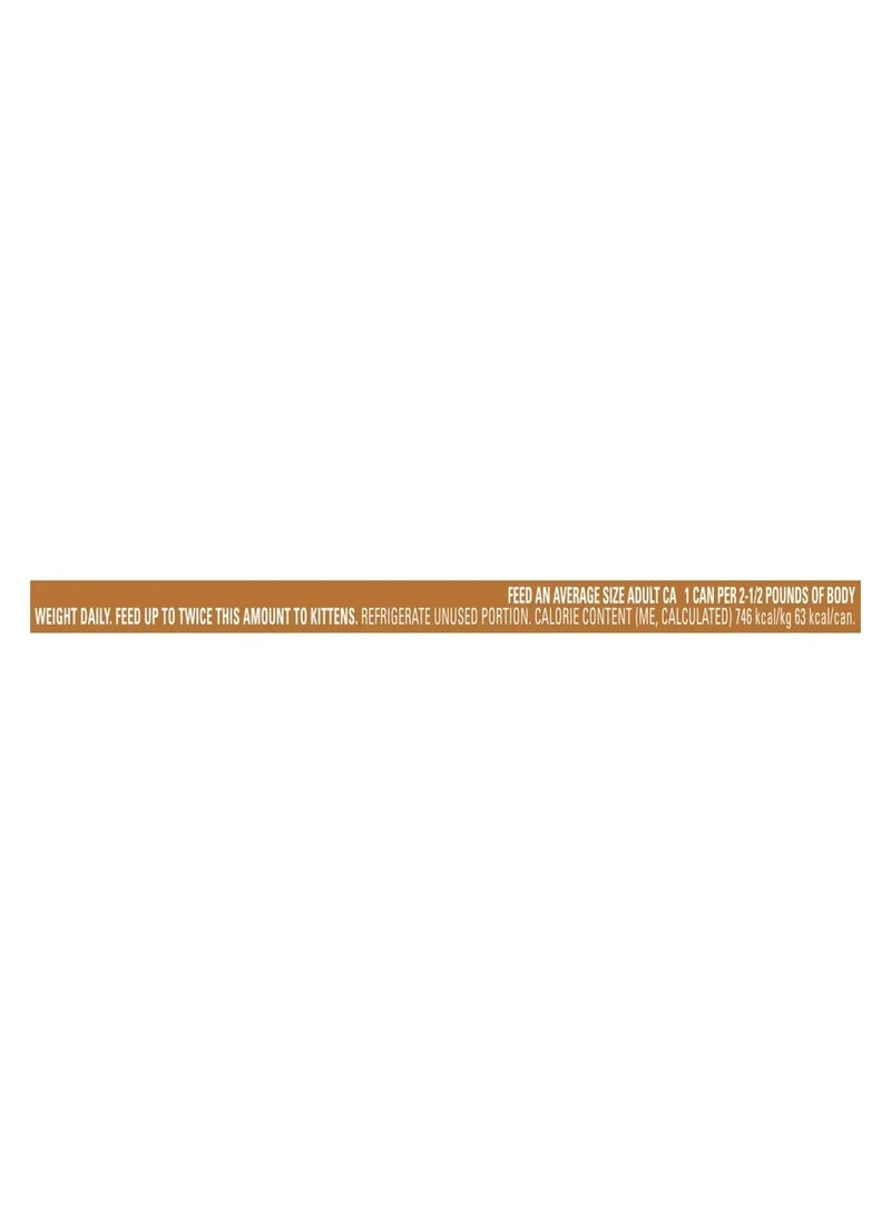 Purina Fancy Feast Gravy Lovers Salmon Feast 85g