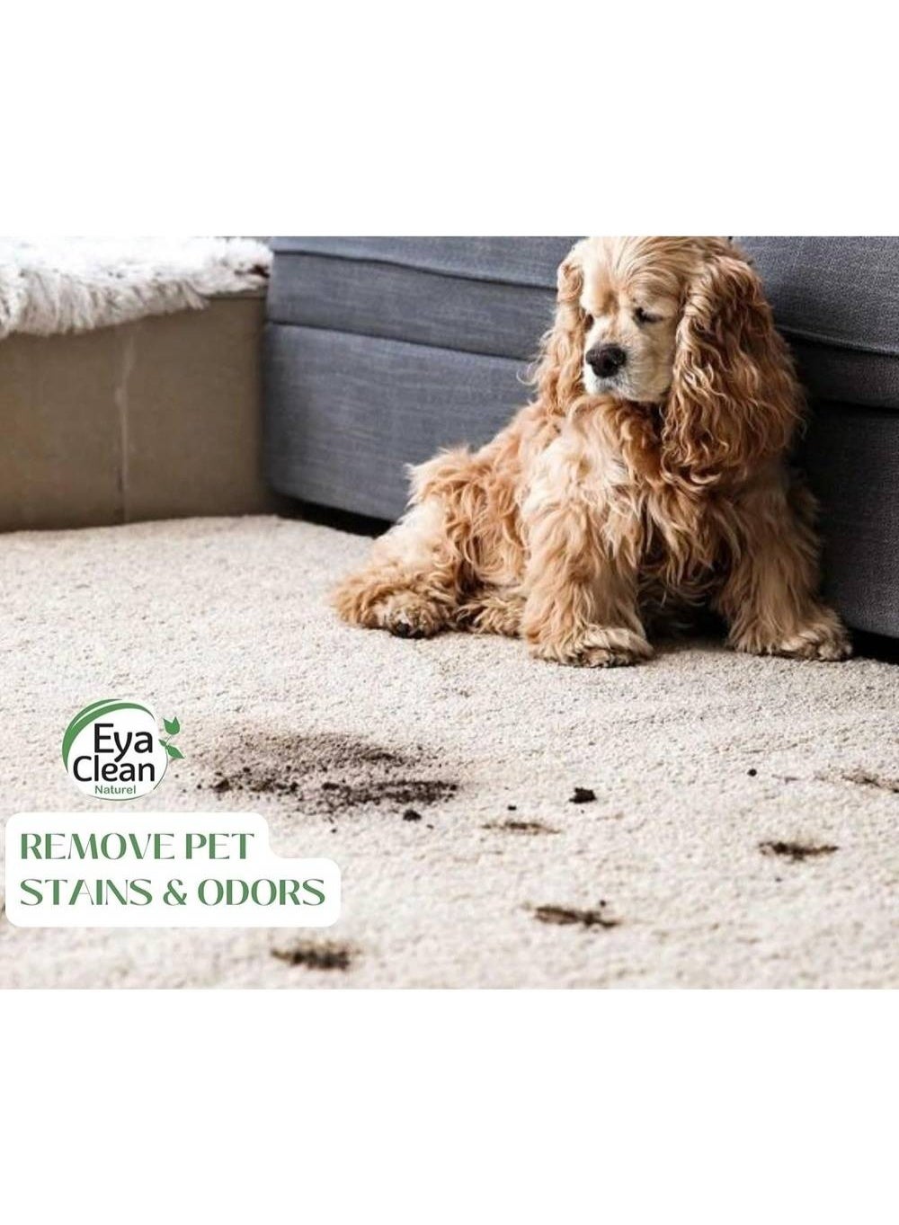 all purpose, antibacterial, brand eye, cool dry, dry place, eyaclean, eye clean, natural ingredients, natural pro, note keep, pets avoid, place away, purpose cleaner, stainless steel, type spray