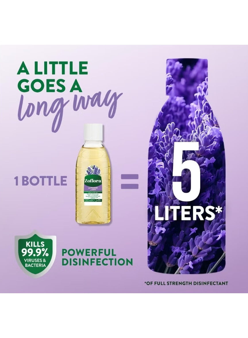 concentrated multipurpose, concentrated multipurpose disinfectant, cool dry, disinfectant lavender, dry place, every day, hard non, multipurpose disinfectant, multipurpose disinfectant lavender, never mix, non porous, note keep, pet areas, tiles taps, zof