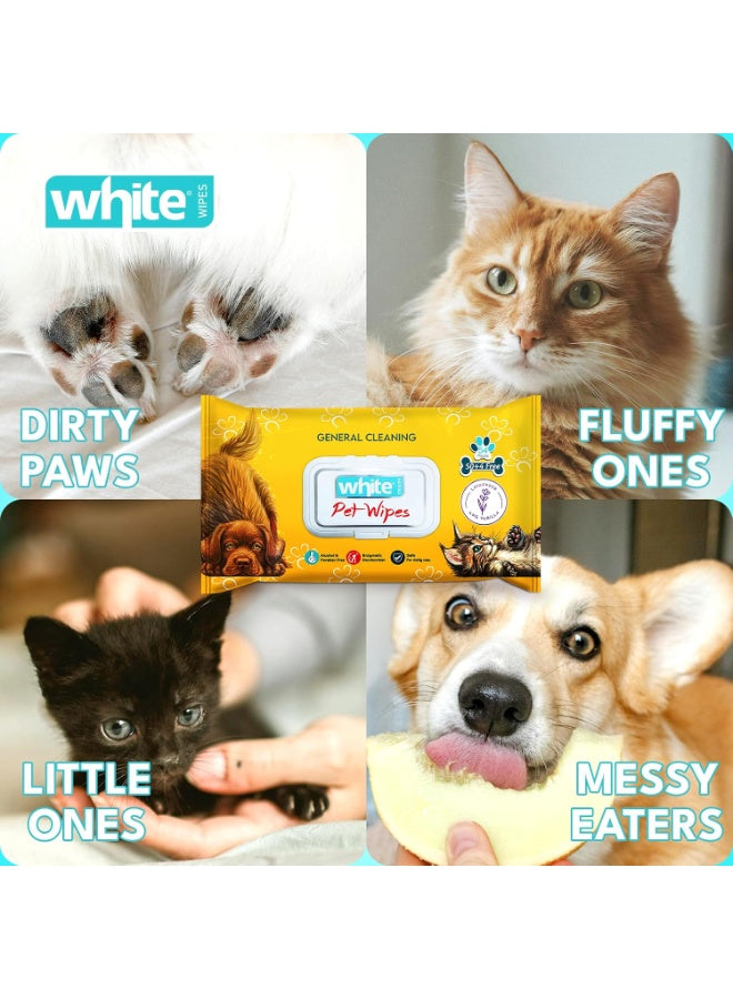 busy pet, ears eyes, every day, face ears, full bath, fur paws, hypoallergenic, one wipe, paws face, pet care, pet clean, pets wipes, sensitive skin, type pet, white