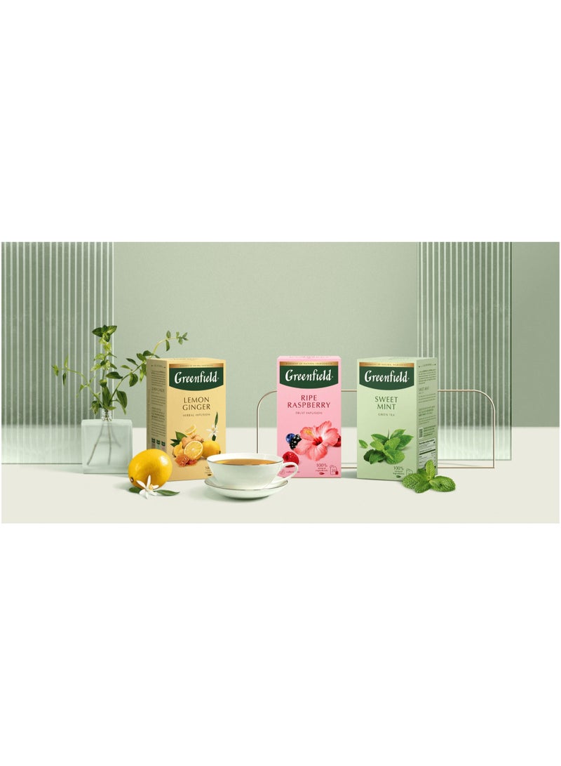Refreshing Sweet Mint Green Tea by Greenfield