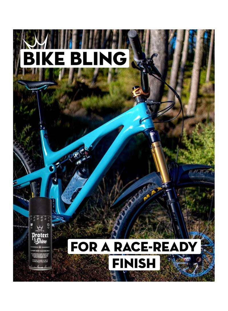 PEATY'S Protect & Shine Spray for Bikes