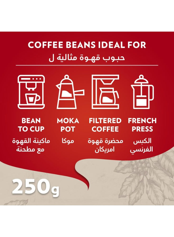 250g rich, bean coffee, coffee key, cool dry, dry place, every cup, lavazza, moka pots, pots rich, qualita rossa, qualita rossa whole, rossa whole, rossa whole bean, whole bean, whole bean coffee