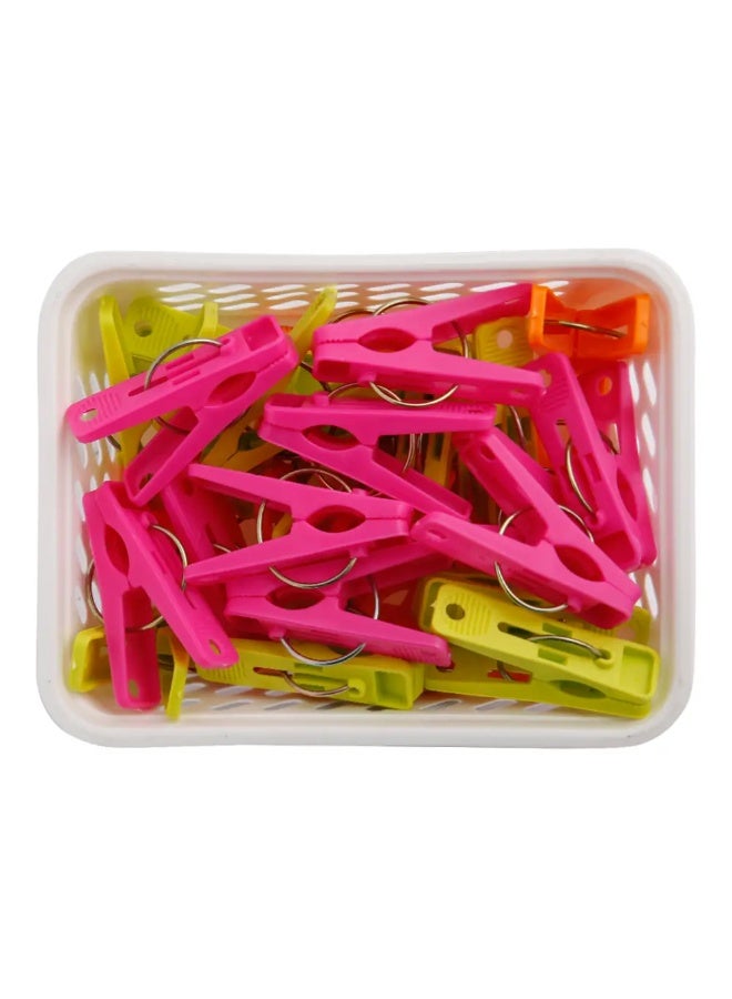 Pioneer Cloth Pegs in Basket - 20 Pieces