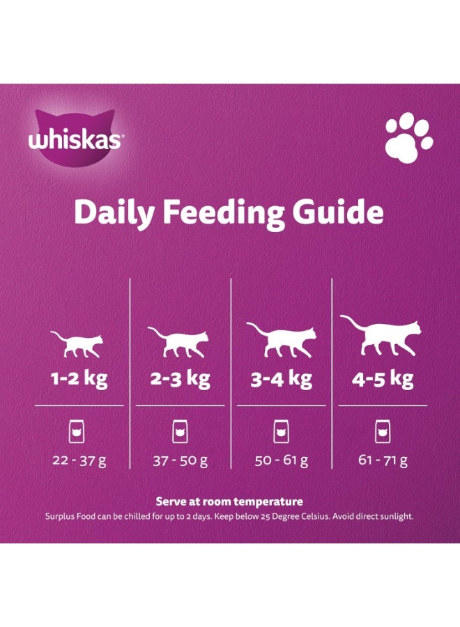 Whiskas Ocean Fish Dry Cat Food 480g