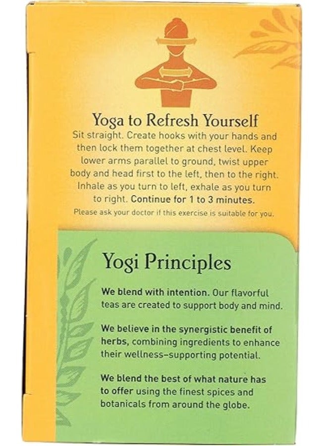 YOGI Green Tea Kombucha - Refreshing Antioxidant Blend