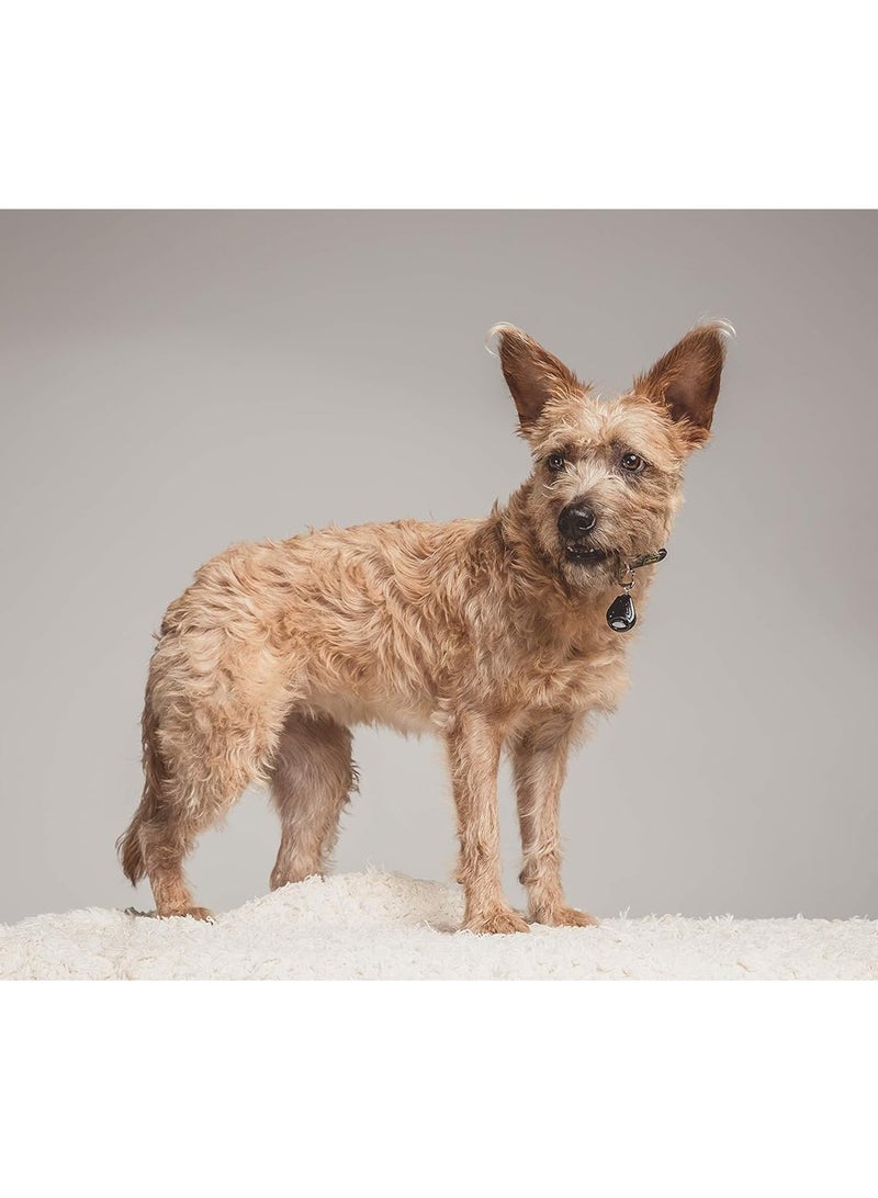Ultrasonic Classic Pet Tick and Flea Repeller - Ultrasonic