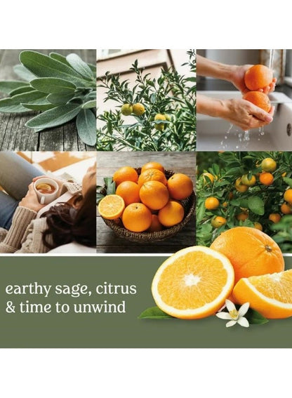YANKEE CANDLE Sage And Citrus Tumbler Candle