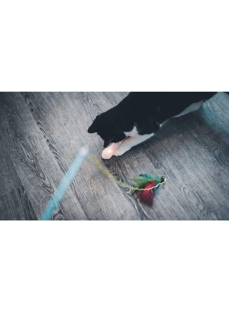 Aime Aime Fishing Rod With Laser Cat Toy
