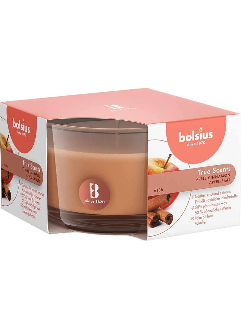 Apple Cinnamon Candle by BOLSIUS