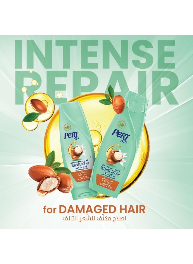 Intense Repair Shampoo 600 ML by PERT PLUS