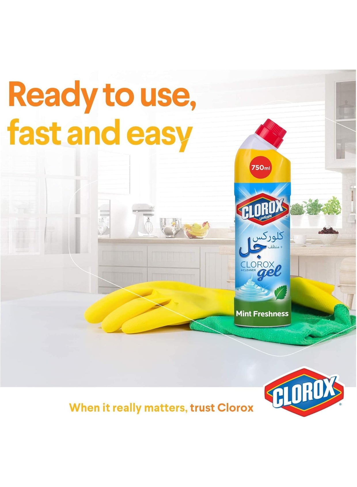 air dry, bleach gel, bleach gel cleaner, cleaner kills, clorox, deep cleaning, fresh bleach, fresh bleach gel, gel cleaner, gel cleaner kills, germs 750ml, hard non, mint fresh, mint fresh bleach, stain removal