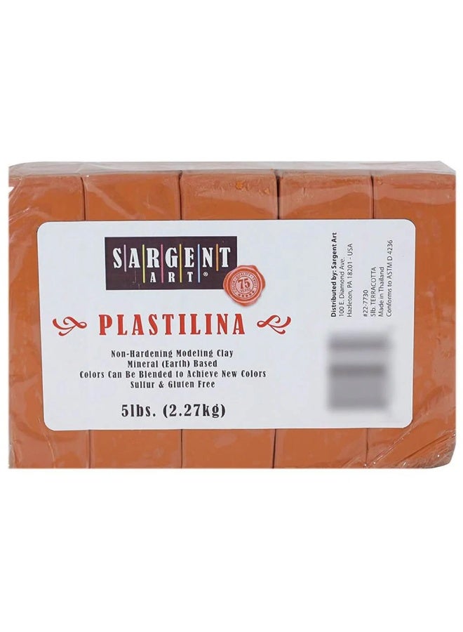 SARGENT ART Non Hardening Modeling Clay - Terracotta