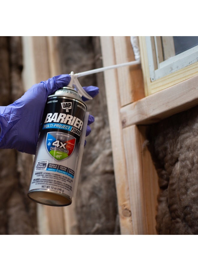 DAP Barrier Multi Project Foam Sealant 340 G