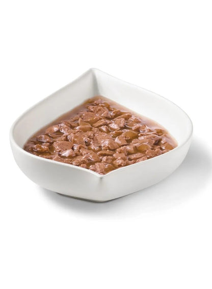 Purina Fancy Feast Gravy Lovers Salmon Feast 85g