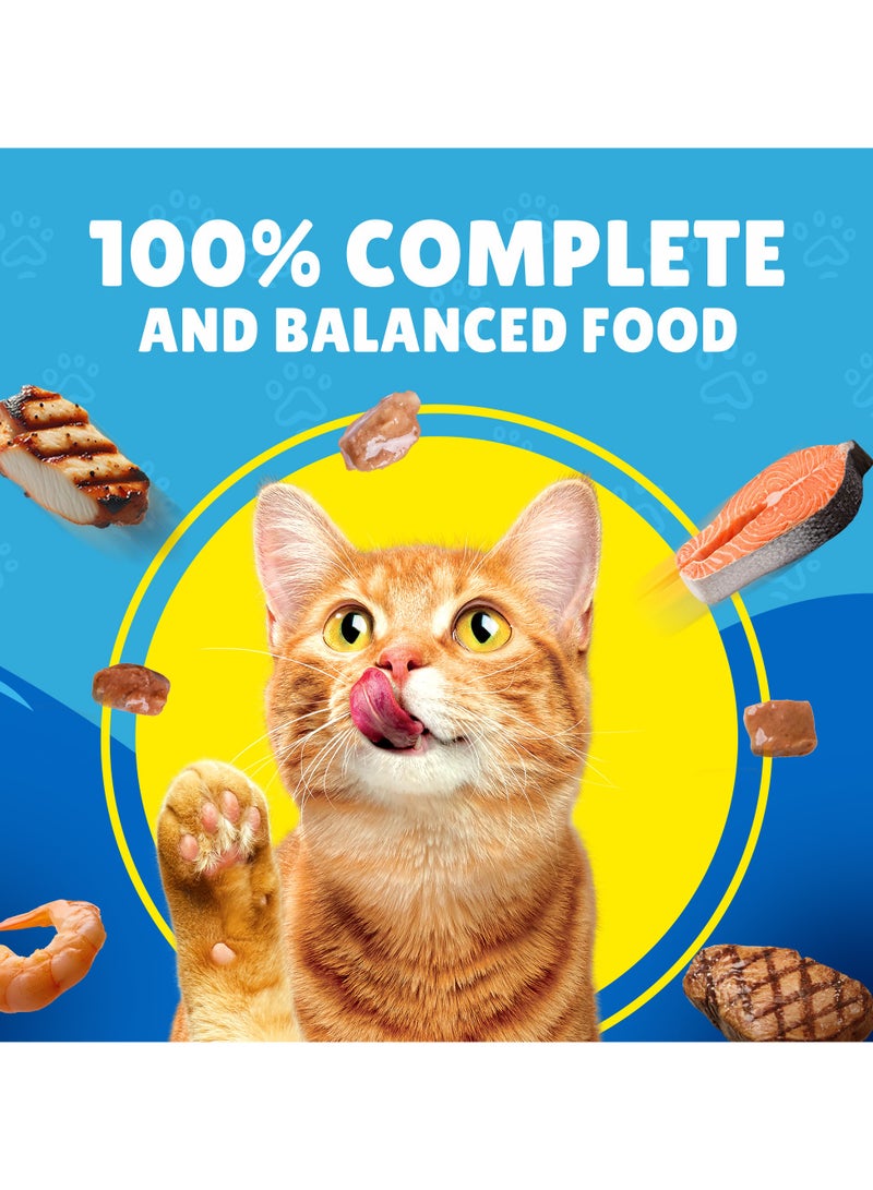 Friskies Salmon In Gravy Wet Cat Food 85G by PURINA