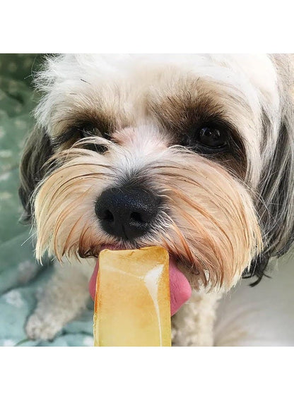 Cooling Ice Pop Treats for Dogs by Woof&Brew