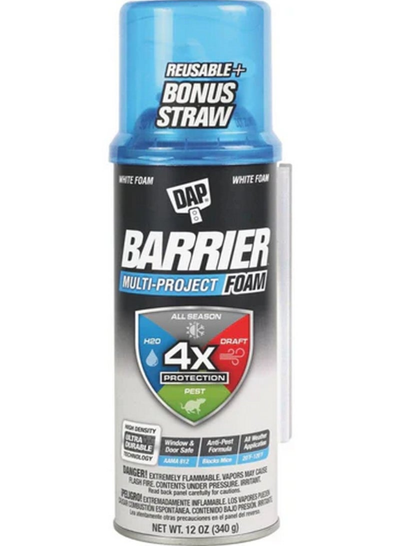 DAP Barrier Multi Project Foam Sealant 340 G
