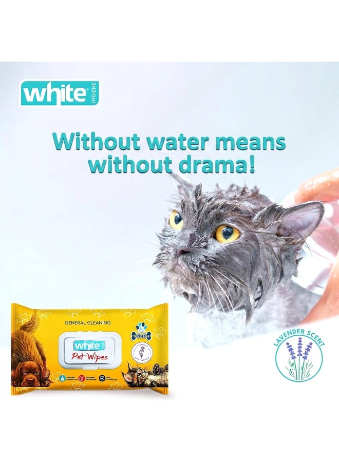 busy pet, ears eyes, every day, face ears, full bath, fur paws, hypoallergenic, one wipe, paws face, pet care, pet clean, pets wipes, sensitive skin, type pet, white