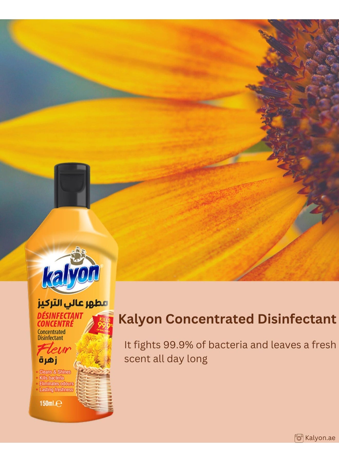 adds shine, clean home, concentrated deodorizing, concentrated deodorizing cleaner, cool dry, deodorizing cleaner, dry place, every room, fleur concentrated, fleur concentrated deodorizing, kalyon, name fleur, pets avoid, scent key, wide range