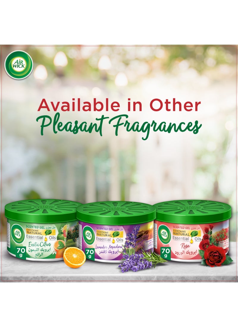 Air Wick Scented Gel Freshener, Rose 70g