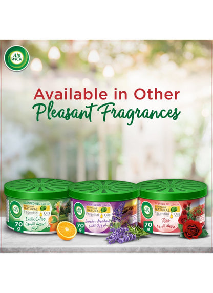 Air Wick Scented Gel Freshener, Rose 70g