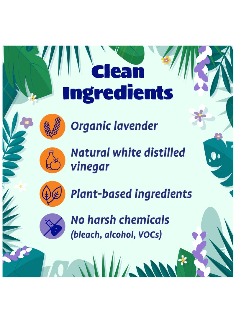 Organic Lavender Vinegar Cleaner Concentrate 1.89L