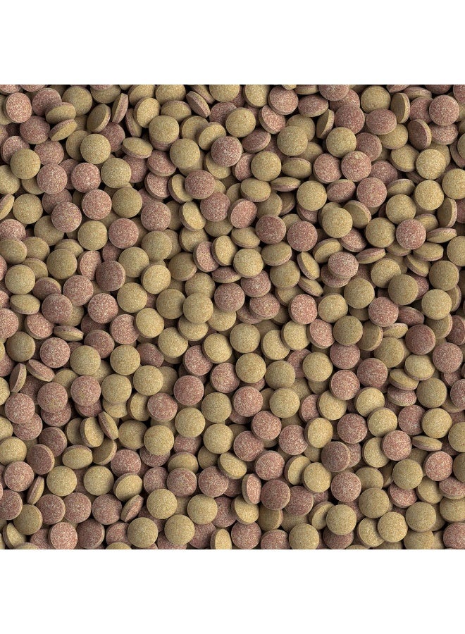 Tetra Tabimin Fish Food 120 Tablets