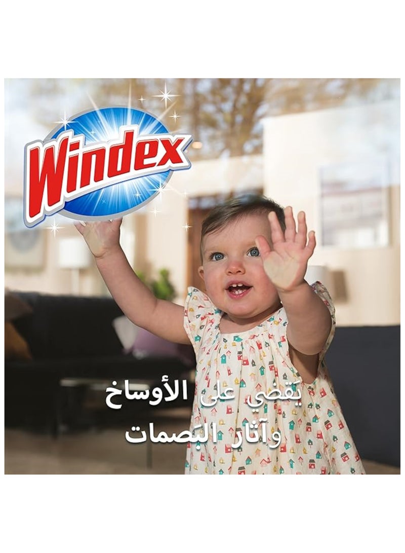 Windex Lavender Window & Glass Cleaner 750 ML