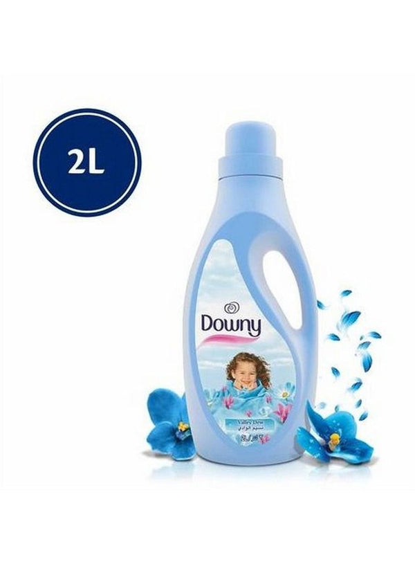 Downy Fabric Softener Valley Dew 2 Litre
