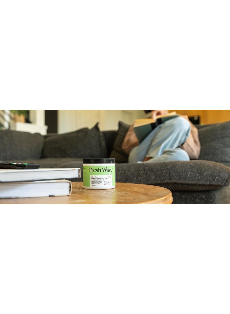 Fresh Wave Odor Eliminating Gel 425g