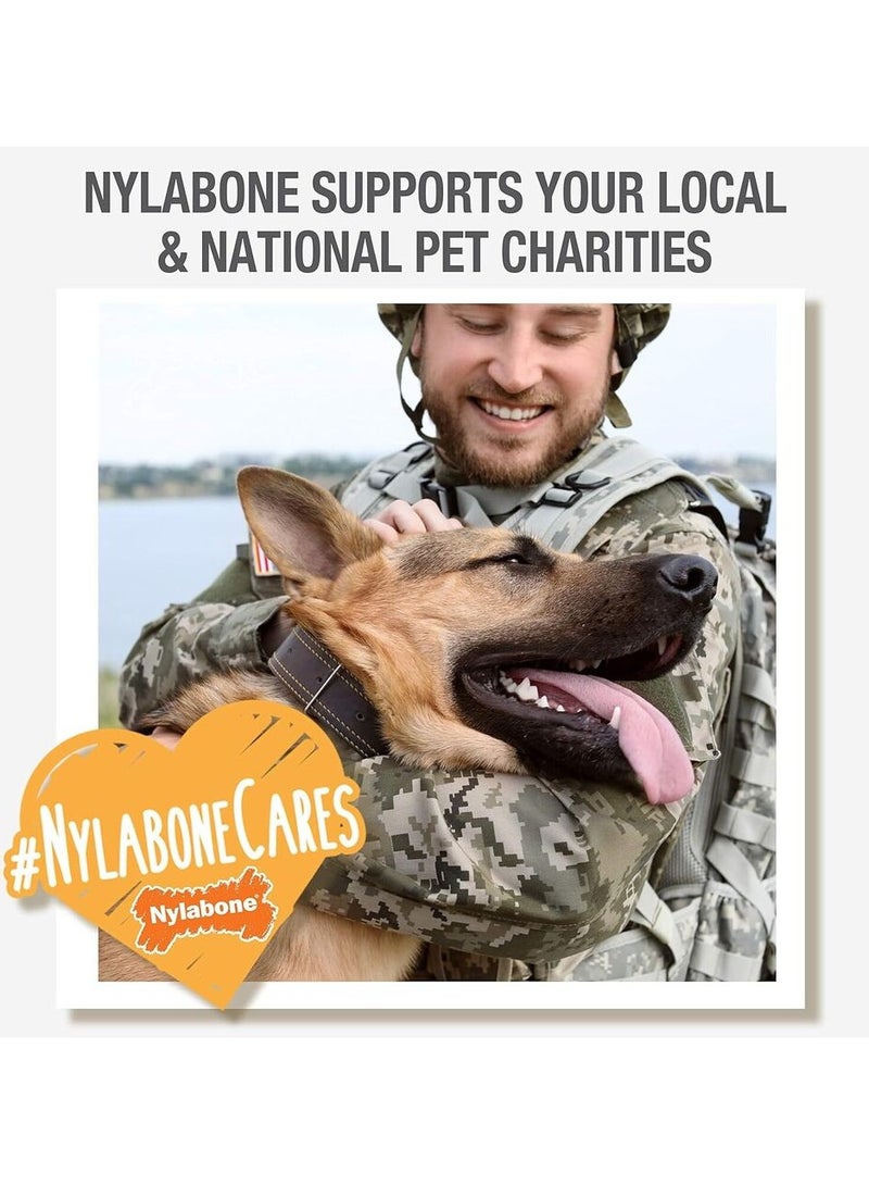Durable Chew Toy for Dogs - Nylabone