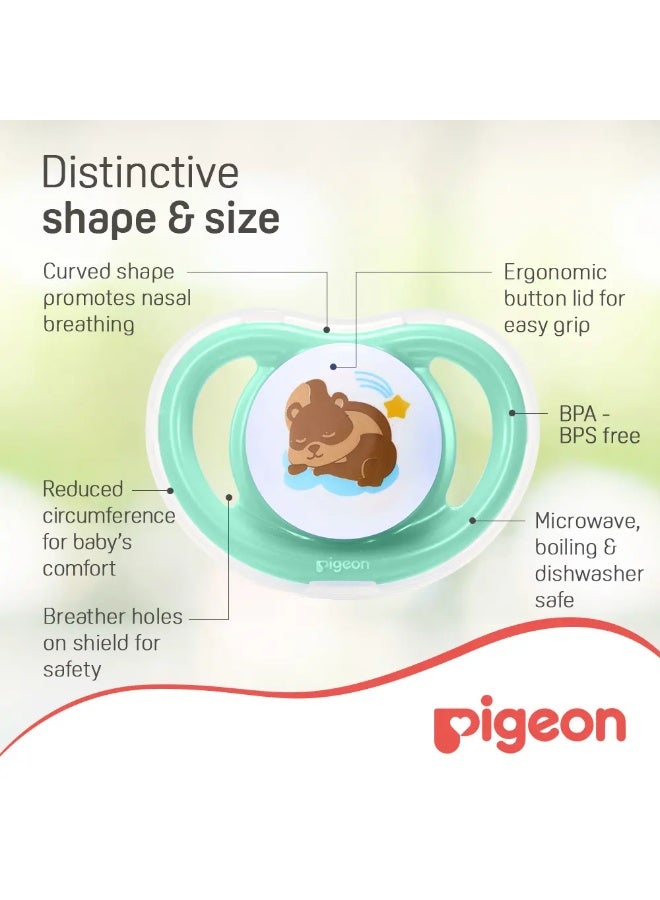 Pigeon Mini Light Dino Egg & Squirrel Pacifier Set