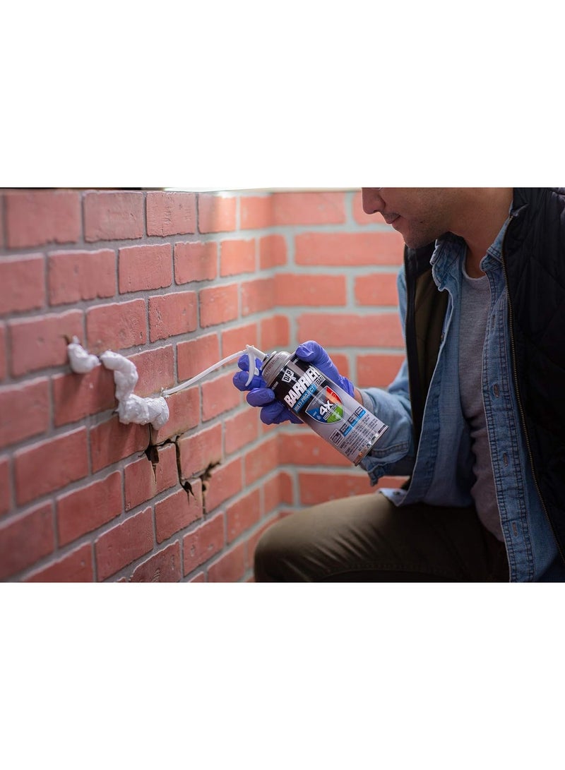 Dap Multi Project Foam Sealant 340 G